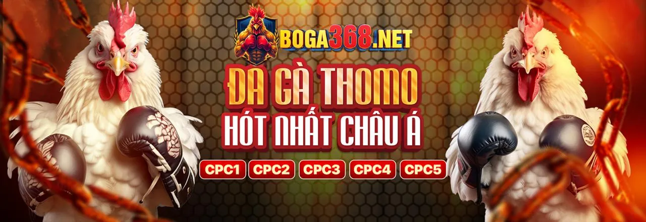 Đá gà trực tuyến Marathon Bet
